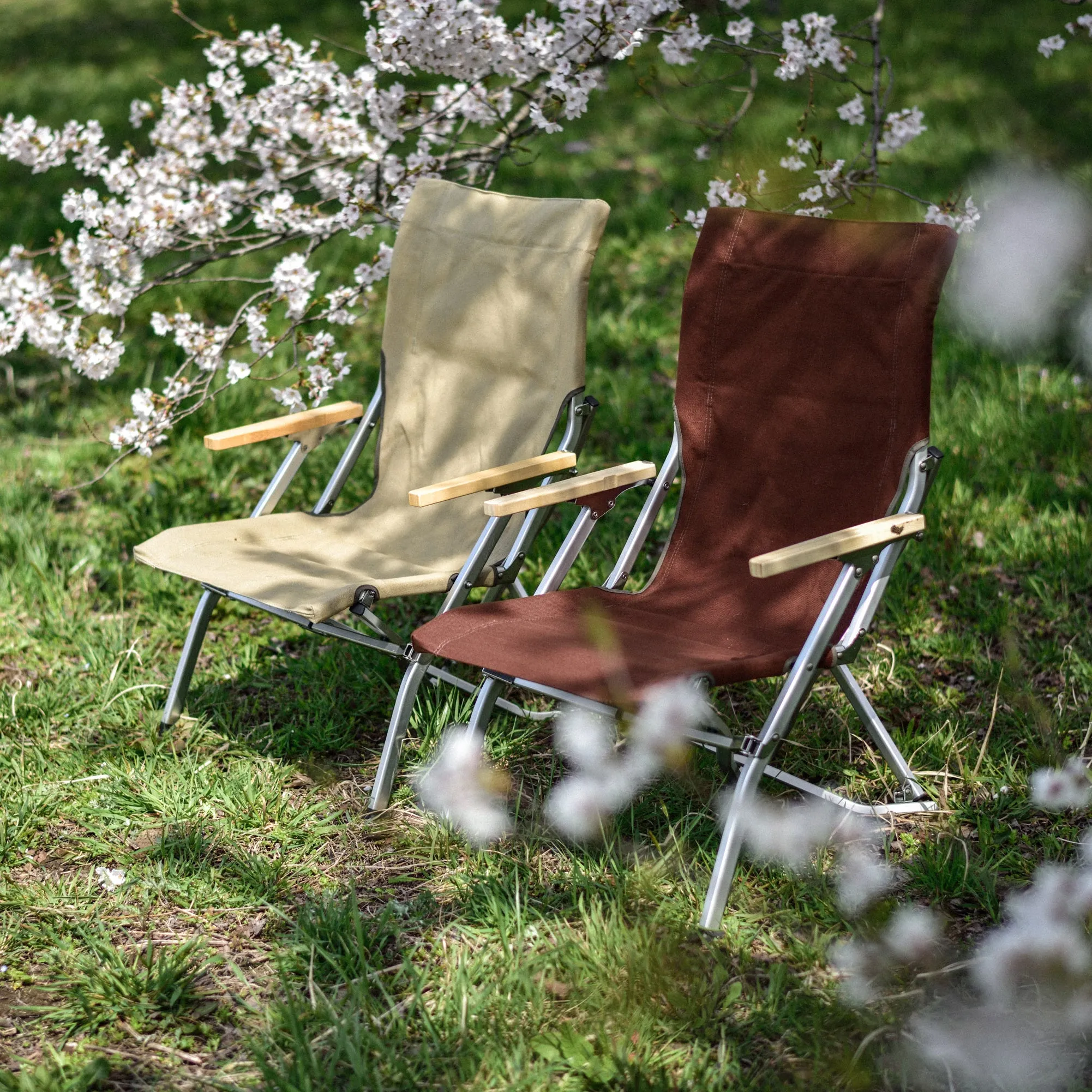 Low Beach Chair