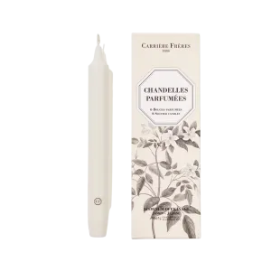 Taper Candle Set in Jasmine